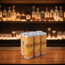 PACK 6 UNIDADES ENERGY DRINK BONE SABOR MANGA ZERO