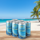 PACK 6 UNIDADES ENERGY DRINK BONE SABOR TRADICIONAL ZERO